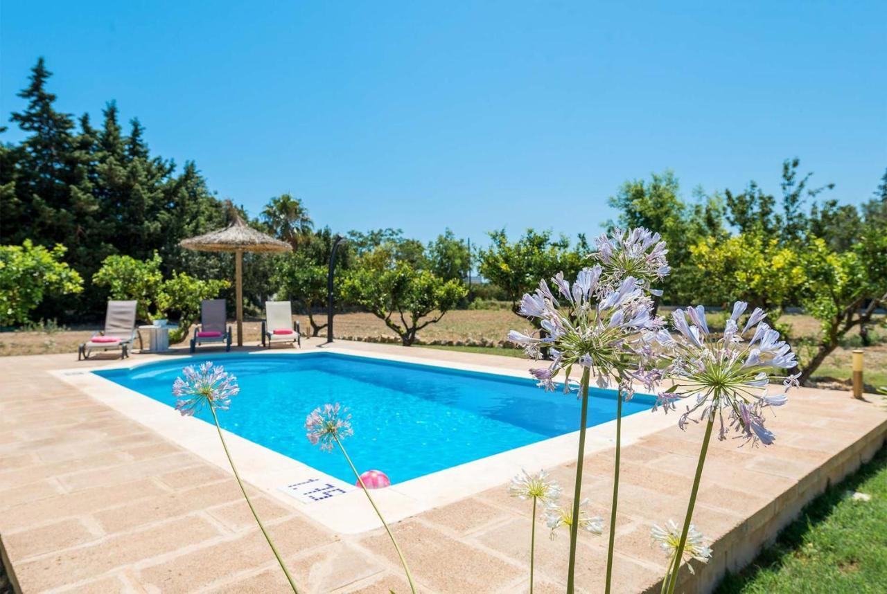 Ca'N Fuat Alcudia (Mallorca)